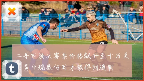 二手市场决赛票价格飙升至十万美元黄牛现象何时才能得到遏制
