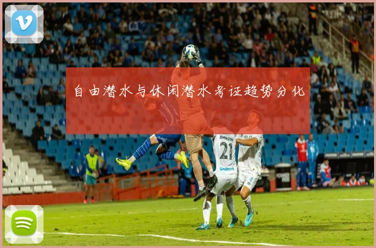 自由潜水与休闲潜水考证趋势分化