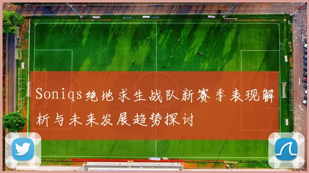 Soniqs绝地求生战队新赛季表现解析与未来发展趋势探讨