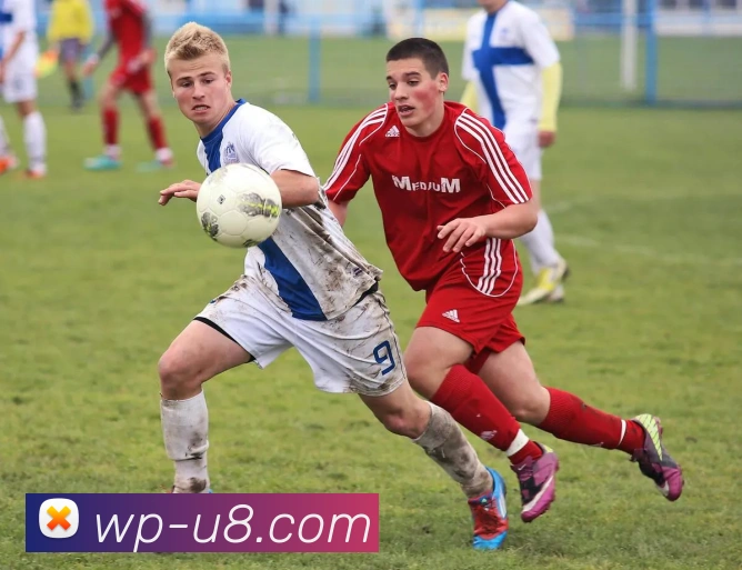 u8国际官网APP 封面图